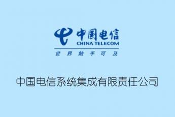 中国电信系统集成有限责任公司