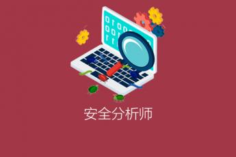 安全分析师